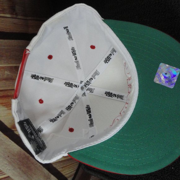 Houston Texas TX state~ Embroidered ball cap~adjustable~NWOT~ - Picture 4 of 5